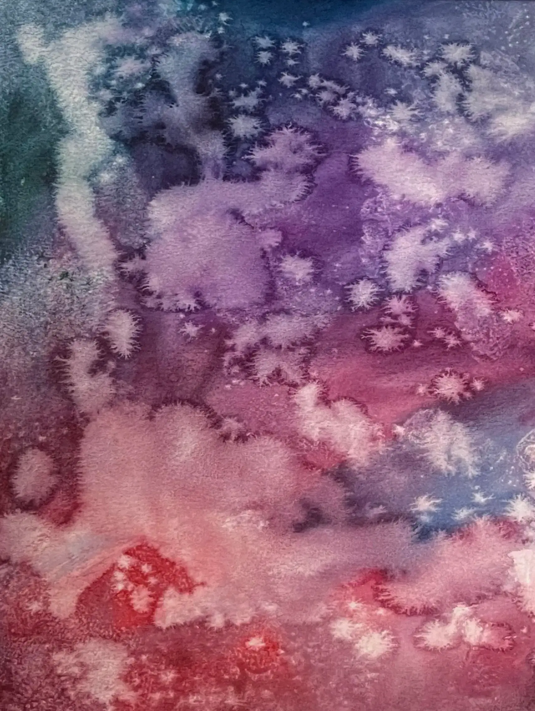 Thumbnail 5 of „Eden" 2024