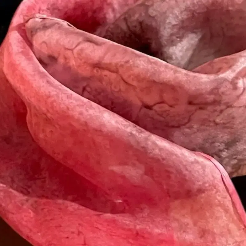 Thumbnail 3 of Seidenschal