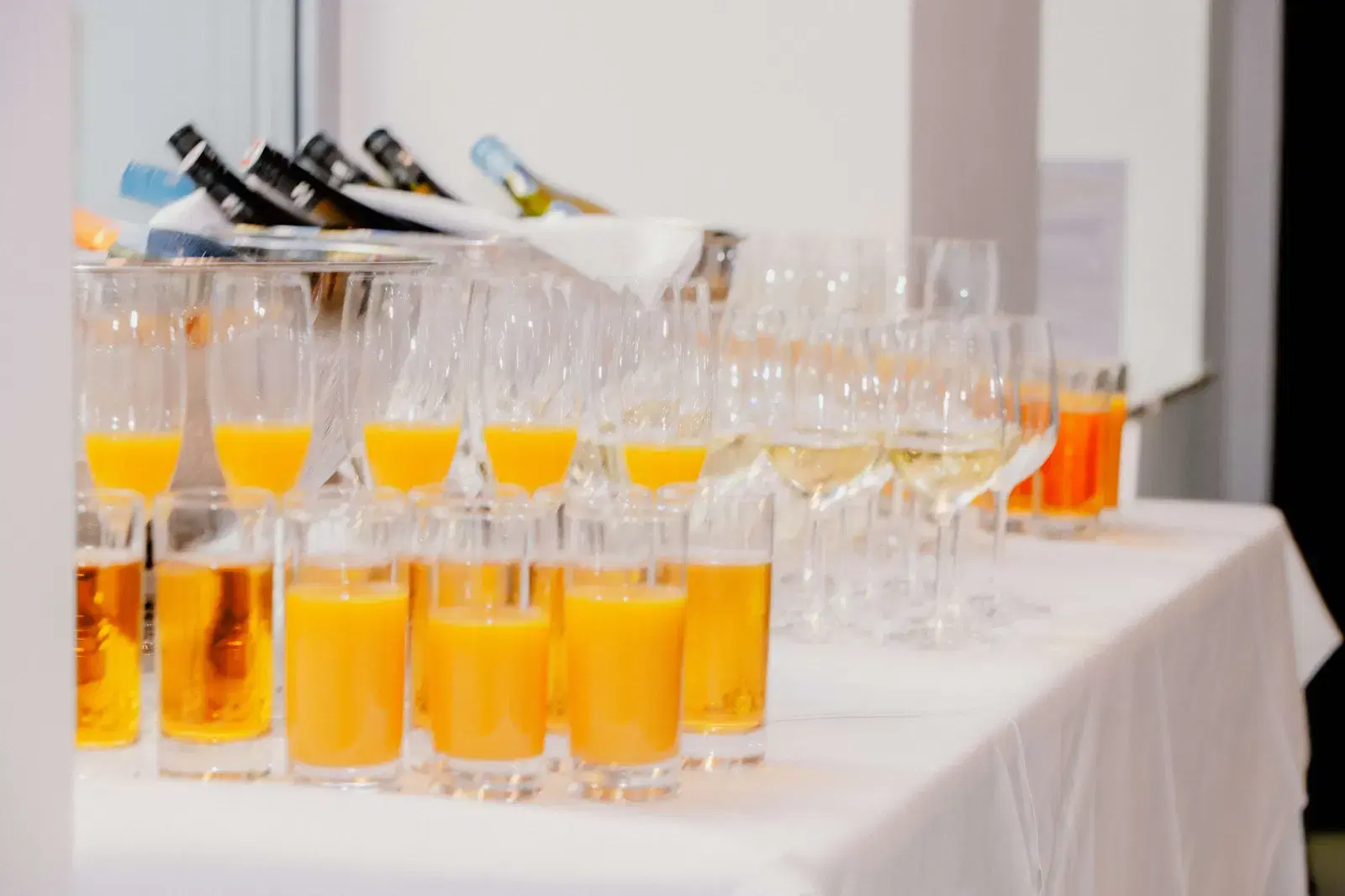 Vernissage 2026 „Przebudzenie Żywiołów” - image 17